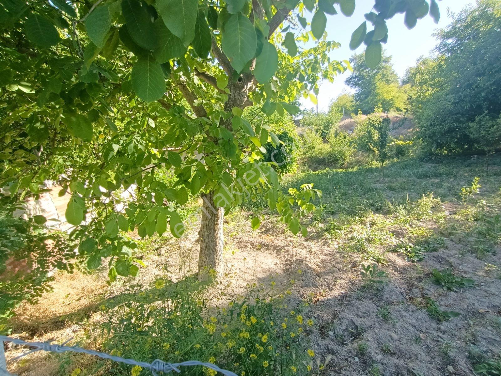 Aksaray'da Beş Kata Konut İmarlı Satılık Arsa Veya Hobi Bahçesi - Görsel 11