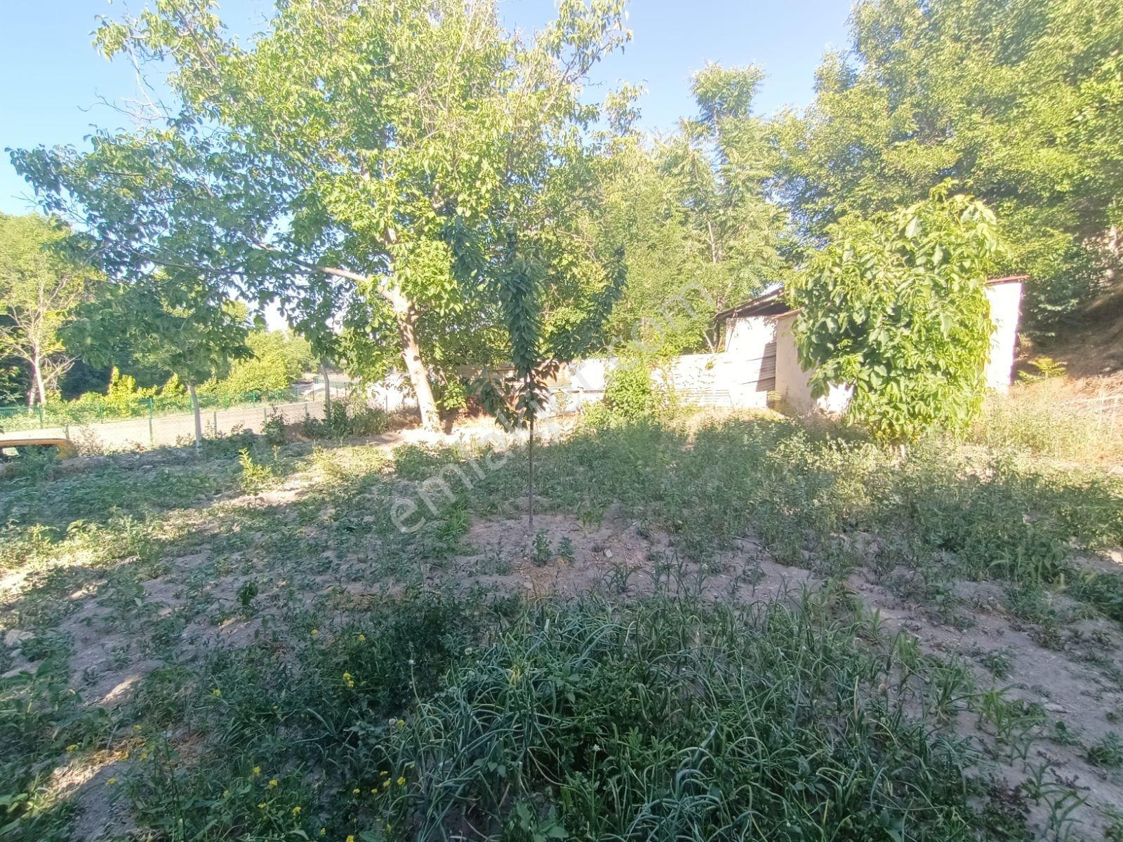 Aksaray'da Beş Kata Konut İmarlı Satılık Arsa Veya Hobi Bahçesi - Görsel 7