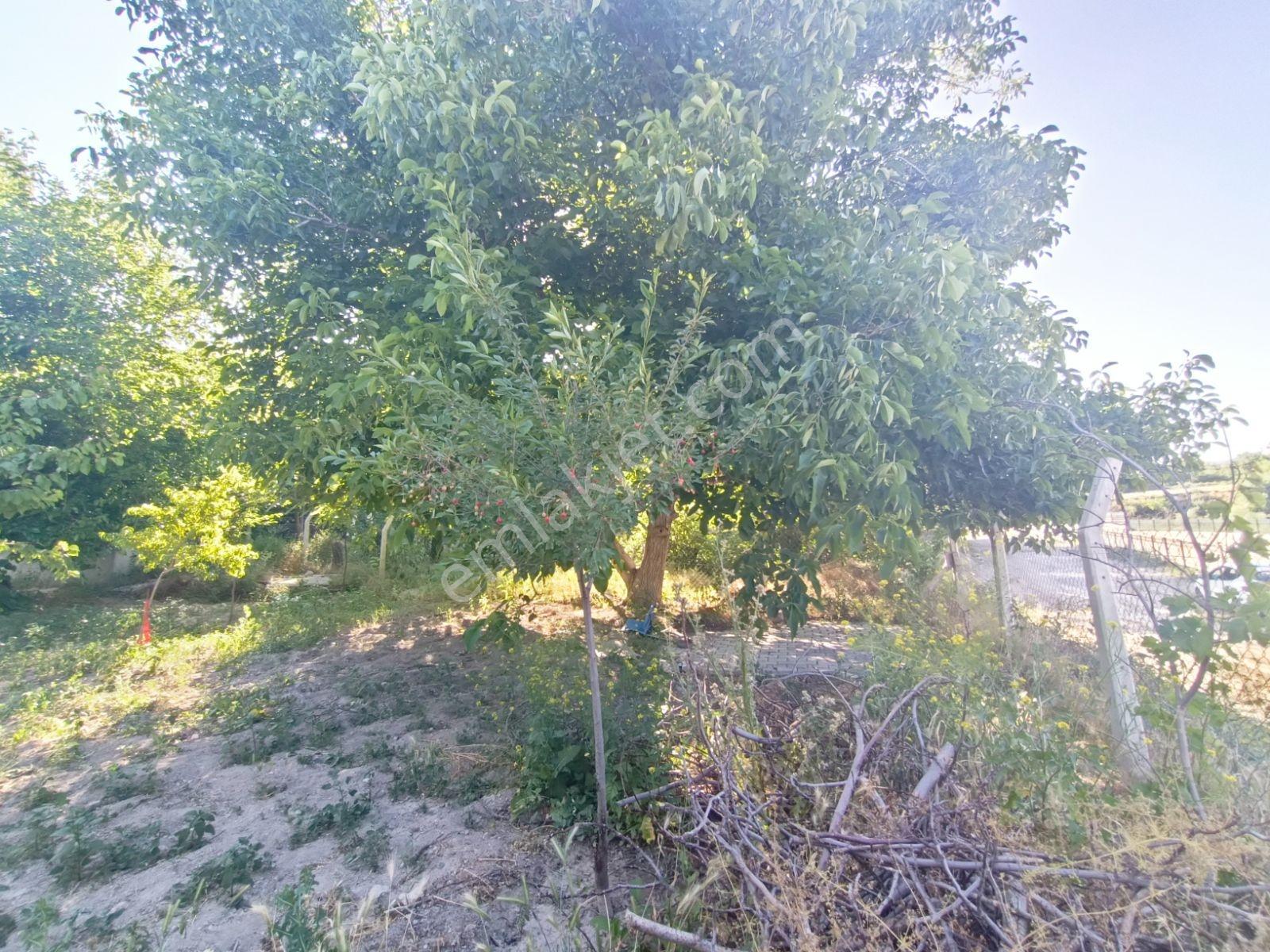 Aksaray'da Beş Kata Konut İmarlı Satılık Arsa Veya Hobi Bahçesi - Görsel 6