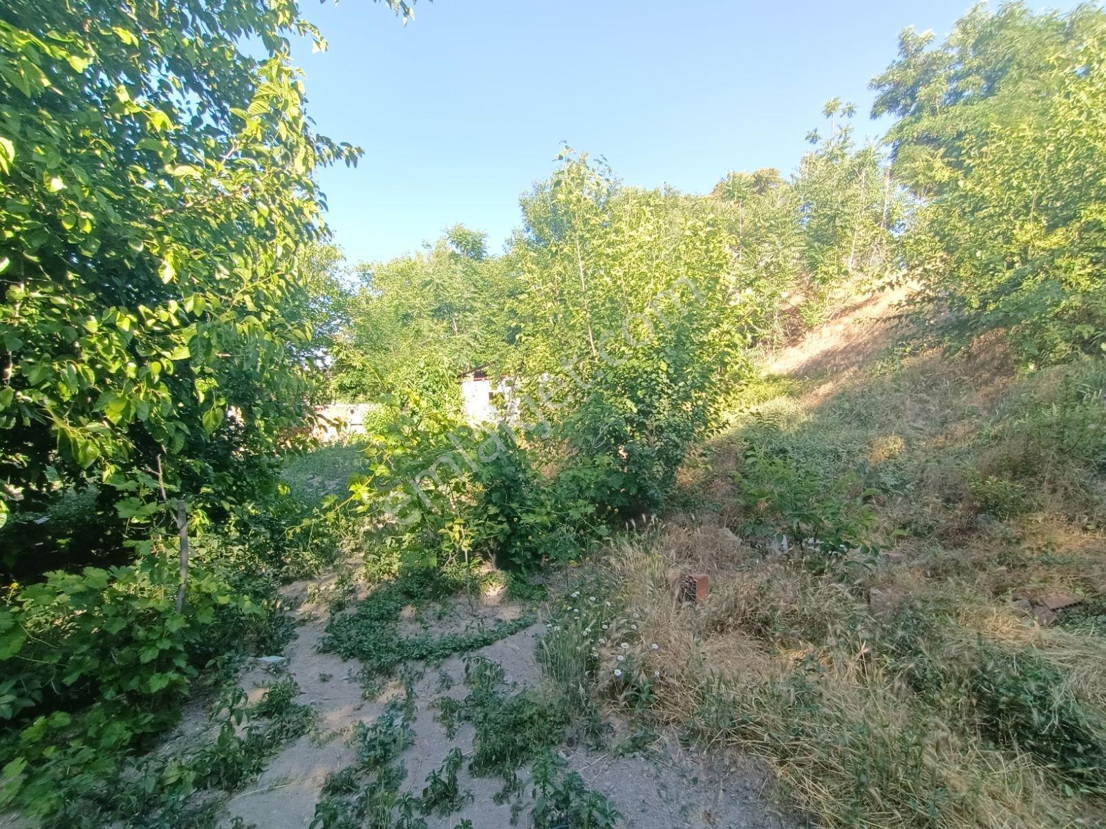 Aksaray'da Beş Kata Konut İmarlı Satılık Arsa Veya Hobi Bahçesi - Görsel 14