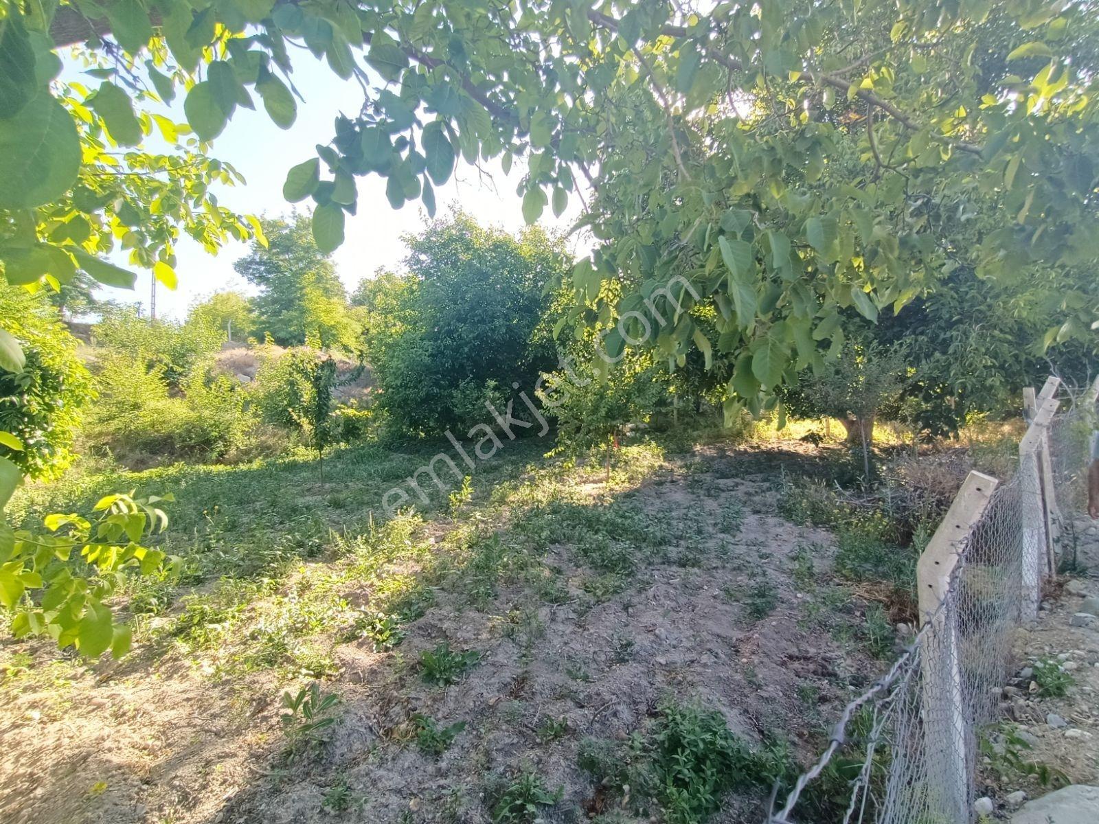 Aksaray'da Beş Kata Konut İmarlı Satılık Arsa Veya Hobi Bahçesi - Görsel 5