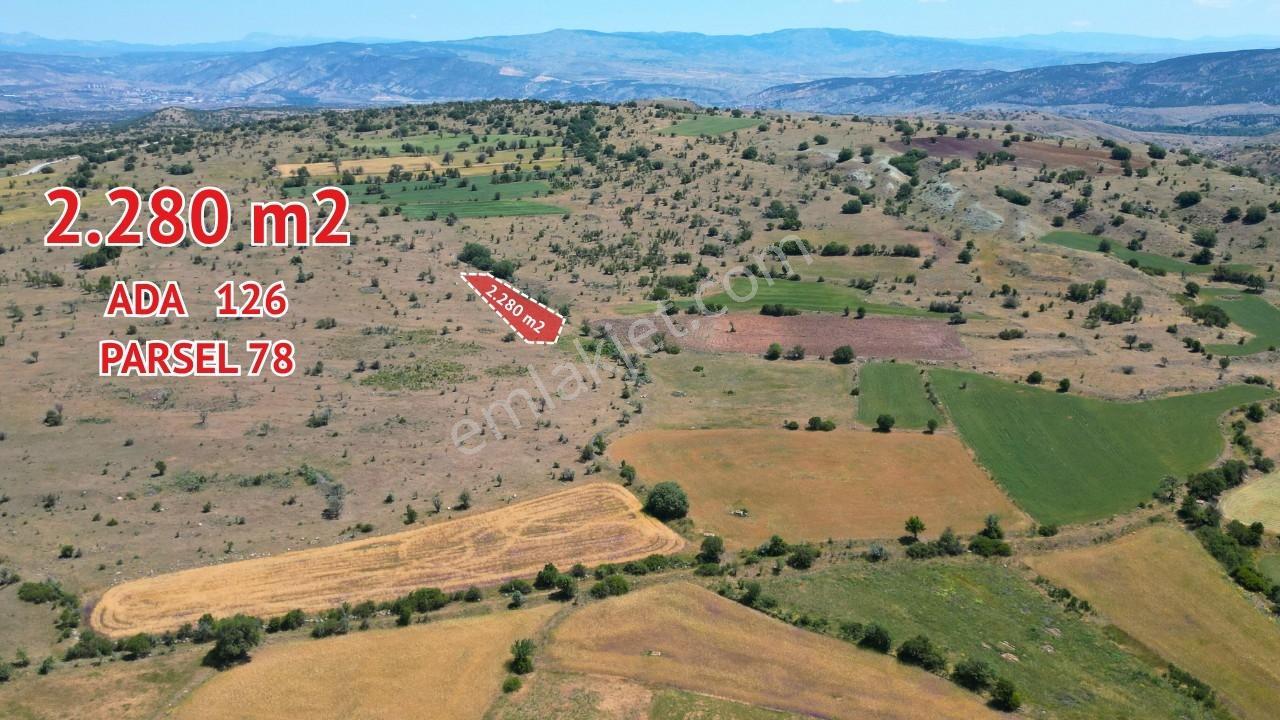 Korgun Marufta 5 Adet Parsel İster Toplu İster Tek Parça - Görsel 2