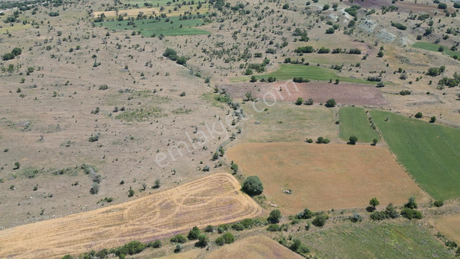 Korgun Marufta 5 Adet Parsel İster Toplu İster Tek Parça - Görsel 15