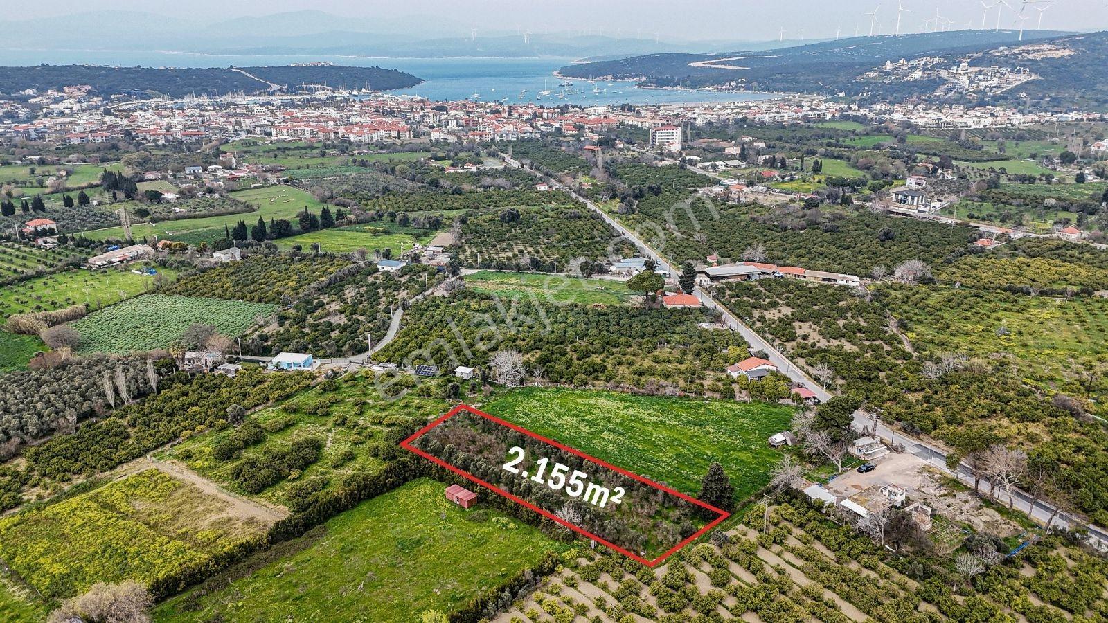 Sığacık'ta Satılık Narenciye Bahçesi