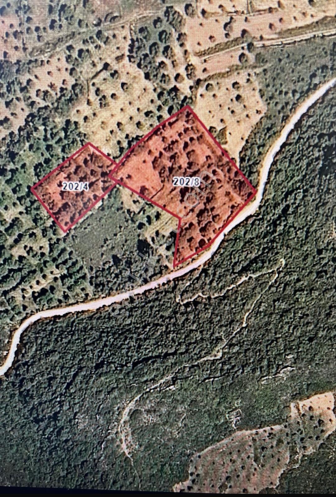 Datça Cumalı Kızılağaçta Deniz & Doğa Manzaralı Bademlik - Görsel 6