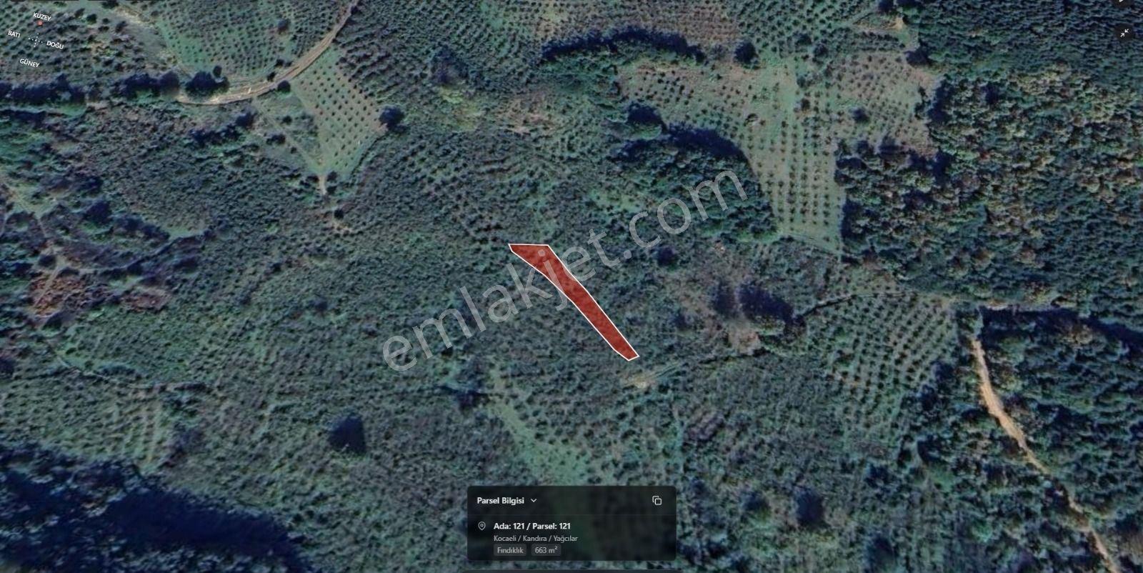 Altın Emlak'tan Köy Merkezine 2 Km, Ağva'ya Komşu Satılık Arazi - Görsel 2