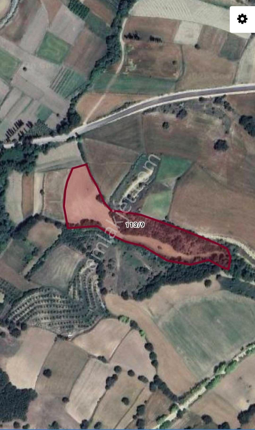 Satılık Tarla Suluova Bayırlı Köyü - Görsel 12
