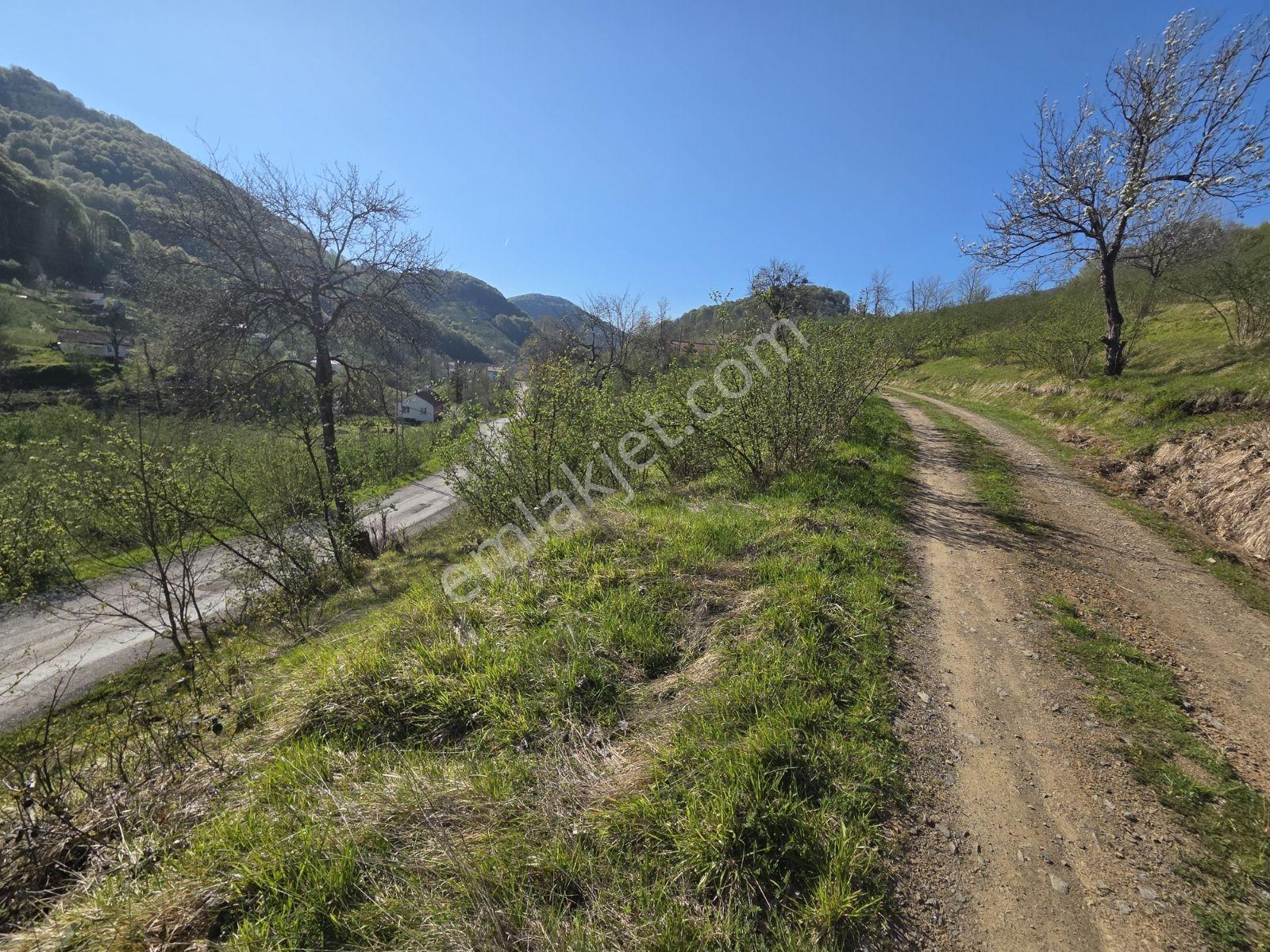 Atakum Erikli De 18680 M² Satılık Yatırımlık Tarla - Görsel 5