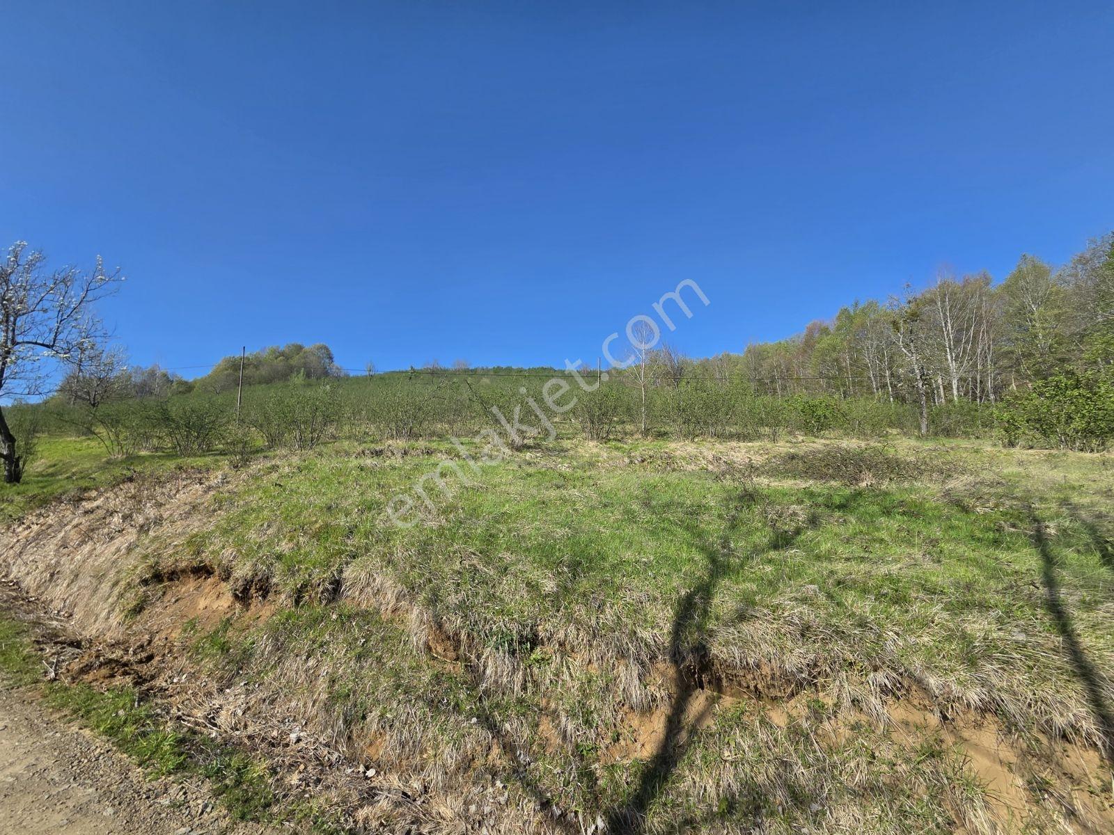Atakum Erikli De 18680 M² Satılık Yatırımlık Tarla - Görsel 7