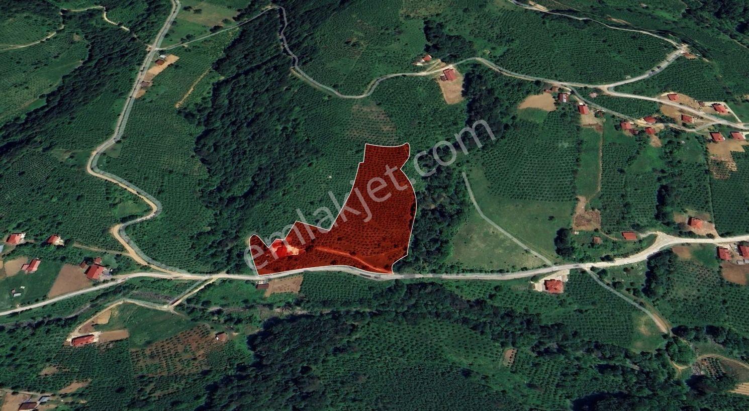 Atakum Erikli De 18680 M² Satılık Yatırımlık Tarla - Görsel 15