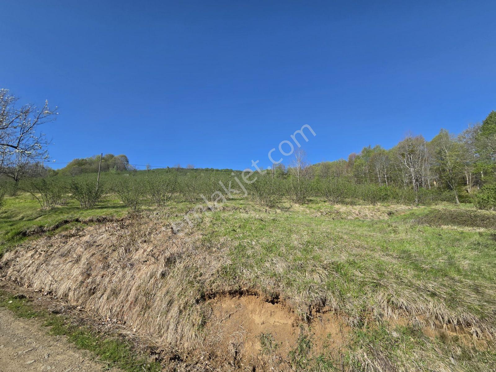 Atakum Erikli De 18680 M² Satılık Yatırımlık Tarla - Görsel 6