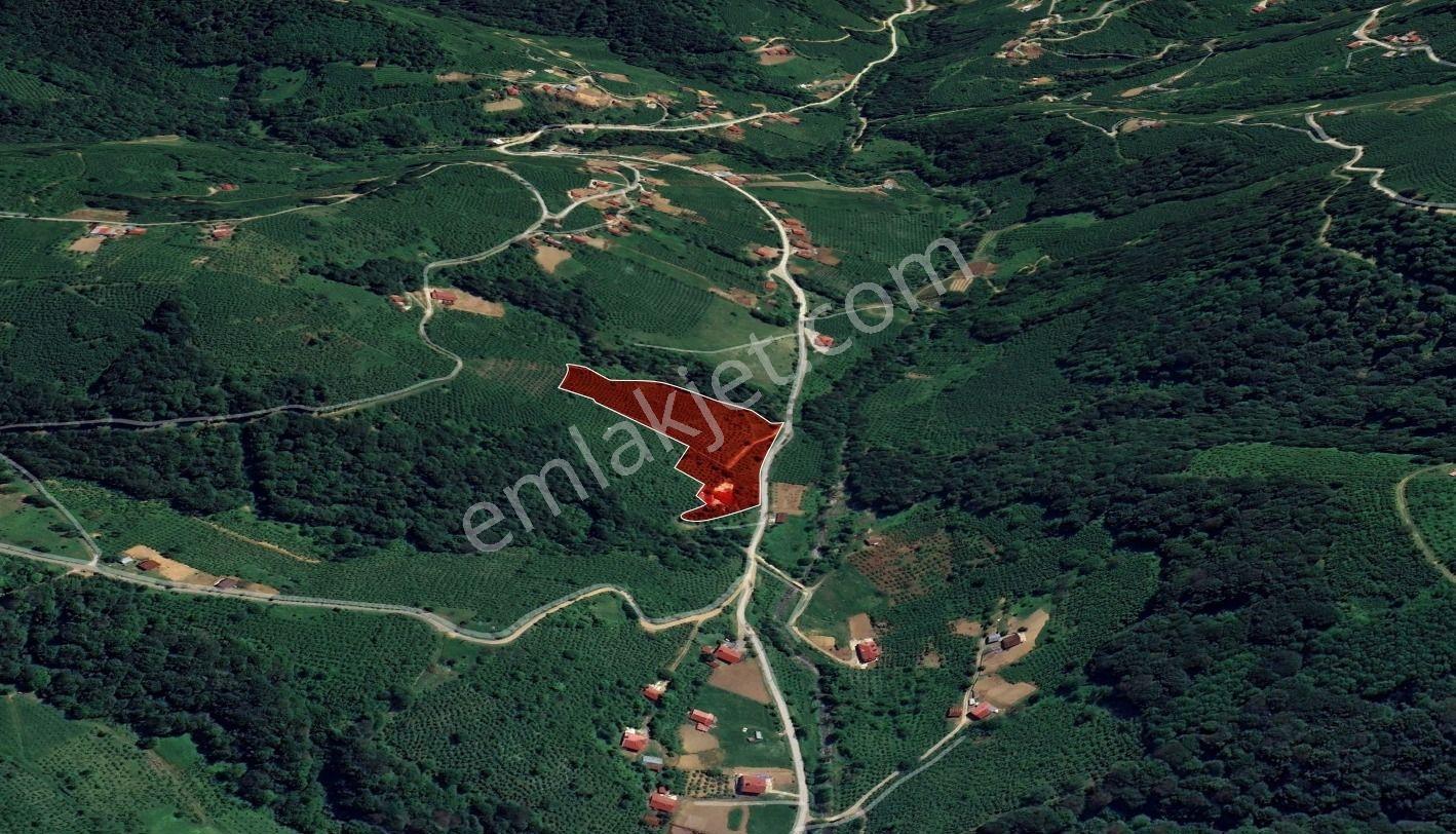 Atakum Erikli De 18680 M² Satılık Yatırımlık Tarla - Görsel 12