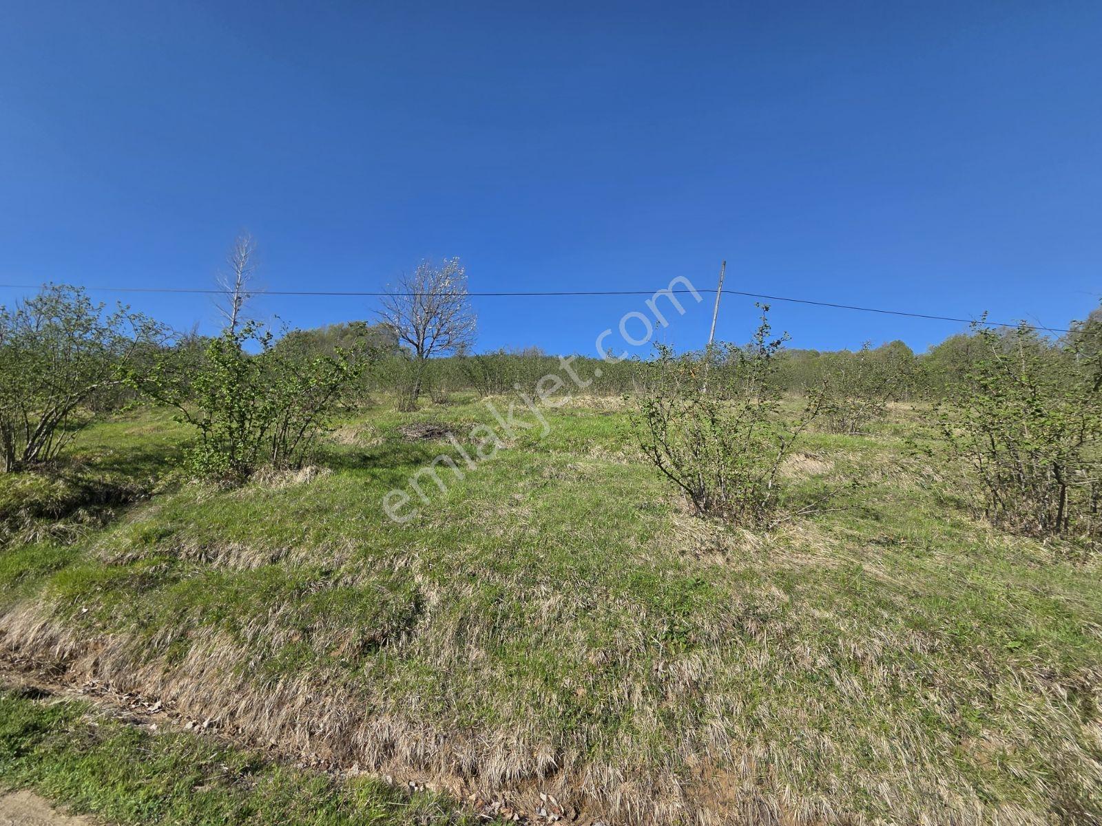 Atakum Erikli De 18680 M² Satılık Yatırımlık Tarla - Görsel 10