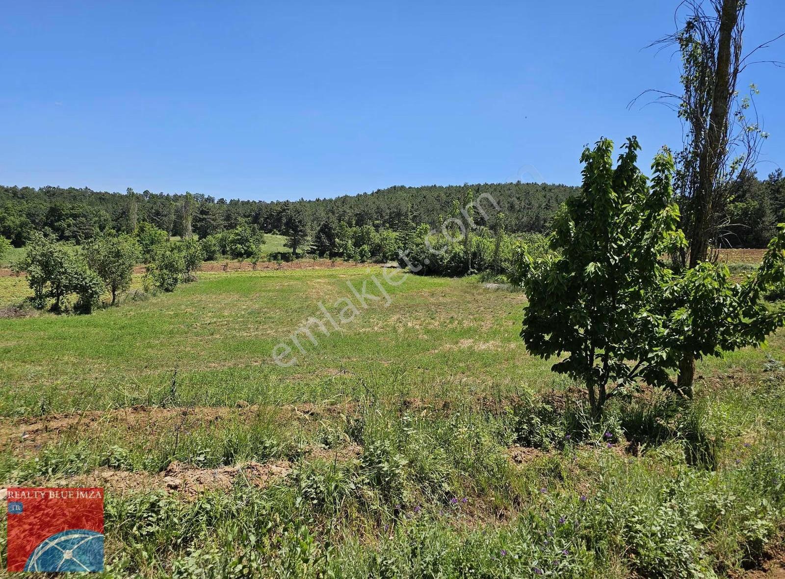 Bileckte Kelepir Arsa