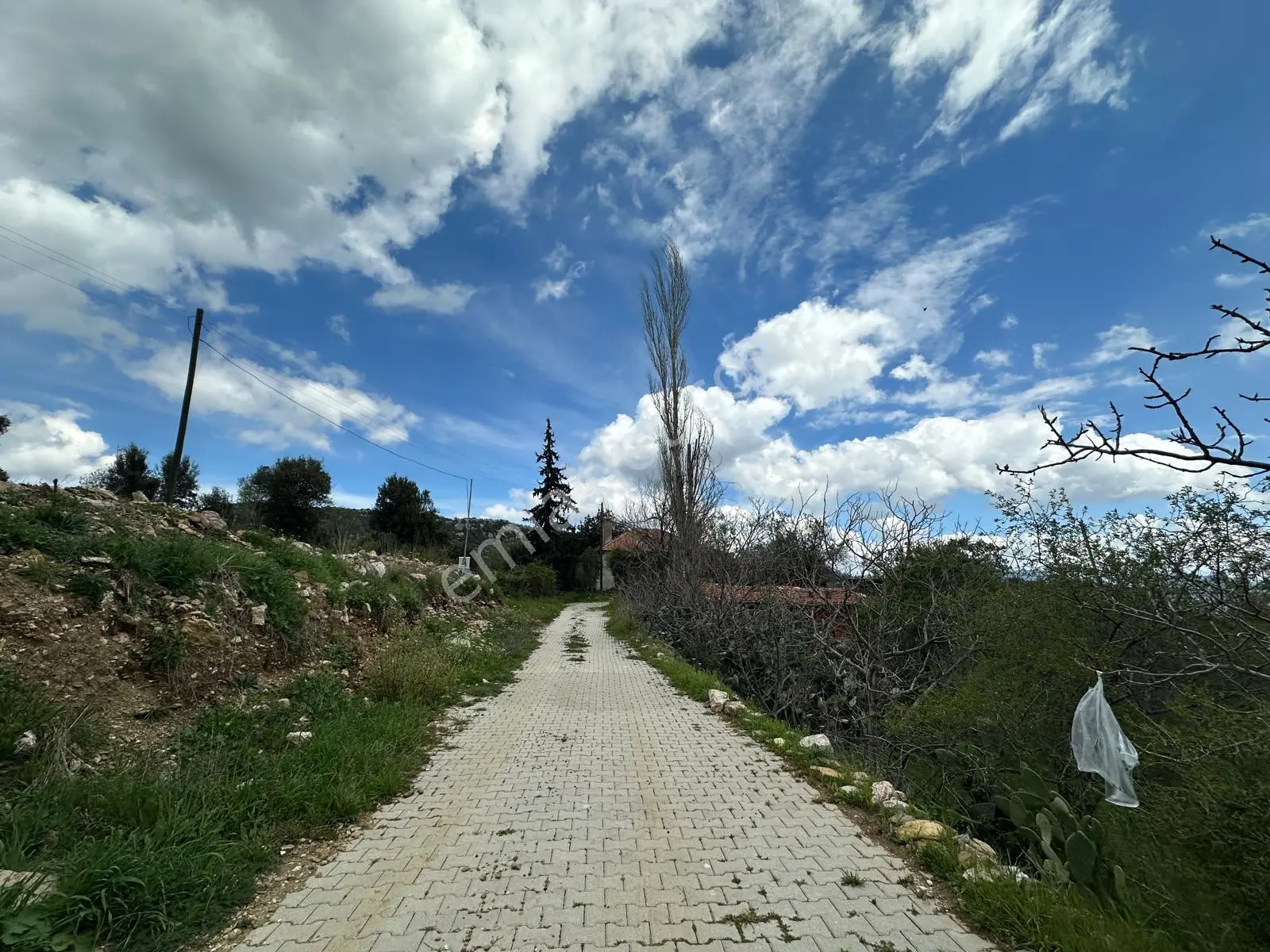Burdur Bucak Kavacık Köyü Satılık Tarla - Görsel 4