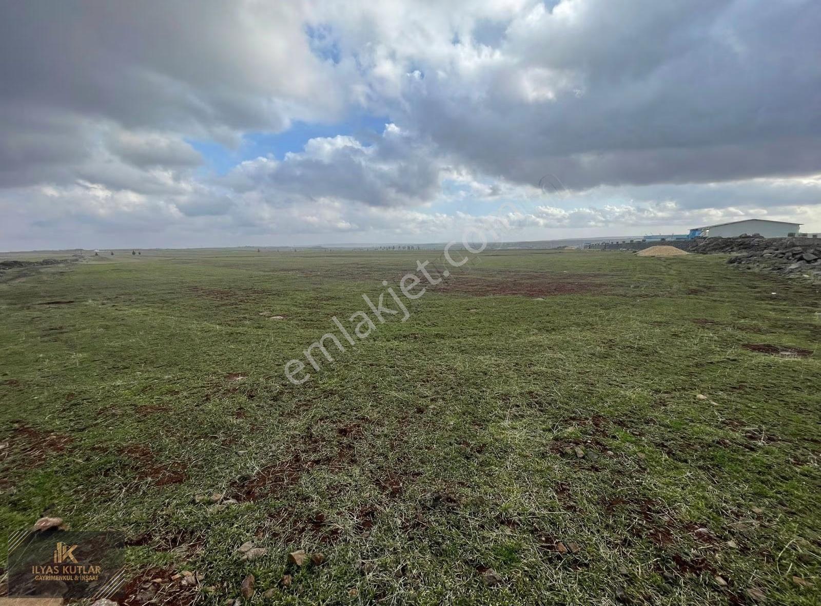 Kilis Yolu Üzeri 520m Yola Cephesi Olan 313 Dönüm Satlık Arazi - Görsel 12