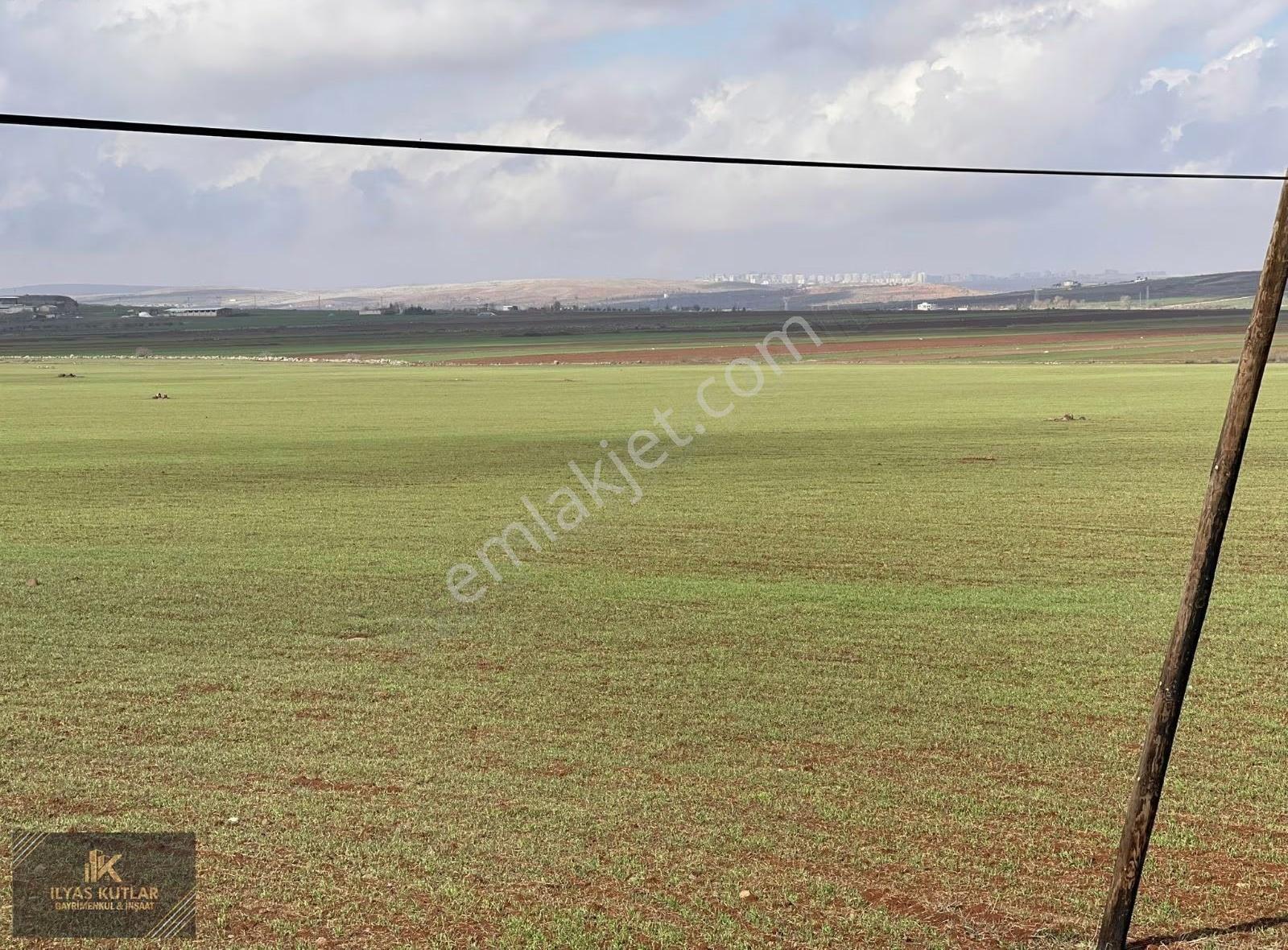 Kilis Yolu Üzeri 520m Yola Cephesi Olan 313 Dönüm Satlık Arazi - Görsel 7