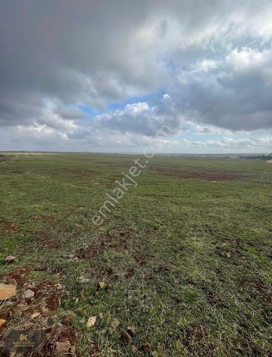 Kilis Yolu Üzeri 520m Yola Cephesi Olan 313 Dönüm Satlık Arazi - Görsel 10