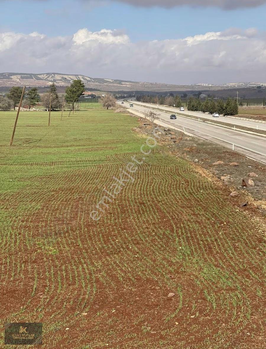 Kilis Yolu Üzeri 520m Yola Cephesi Olan 313 Dönüm Satlık Arazi - Görsel 8