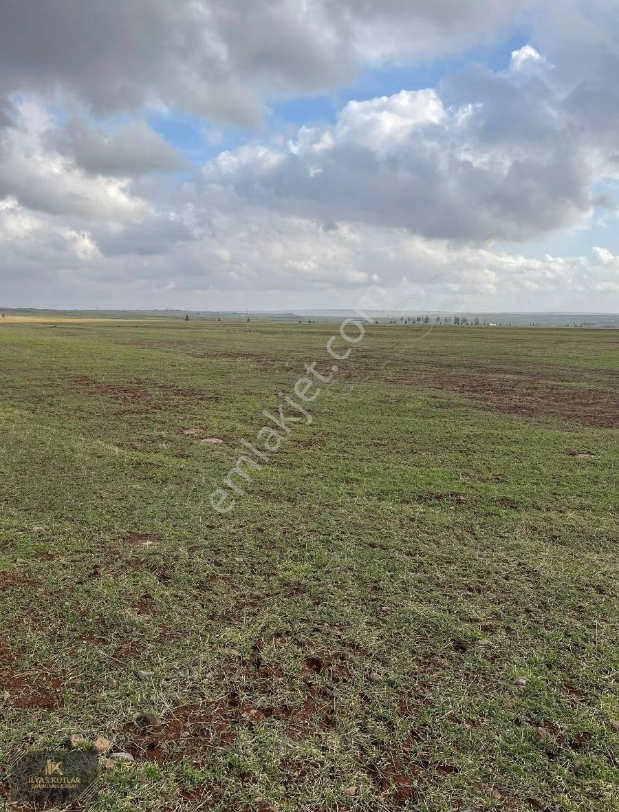 Kilis Yolu Üzeri 520m Yola Cephesi Olan 313 Dönüm Satlık Arazi - Görsel 9