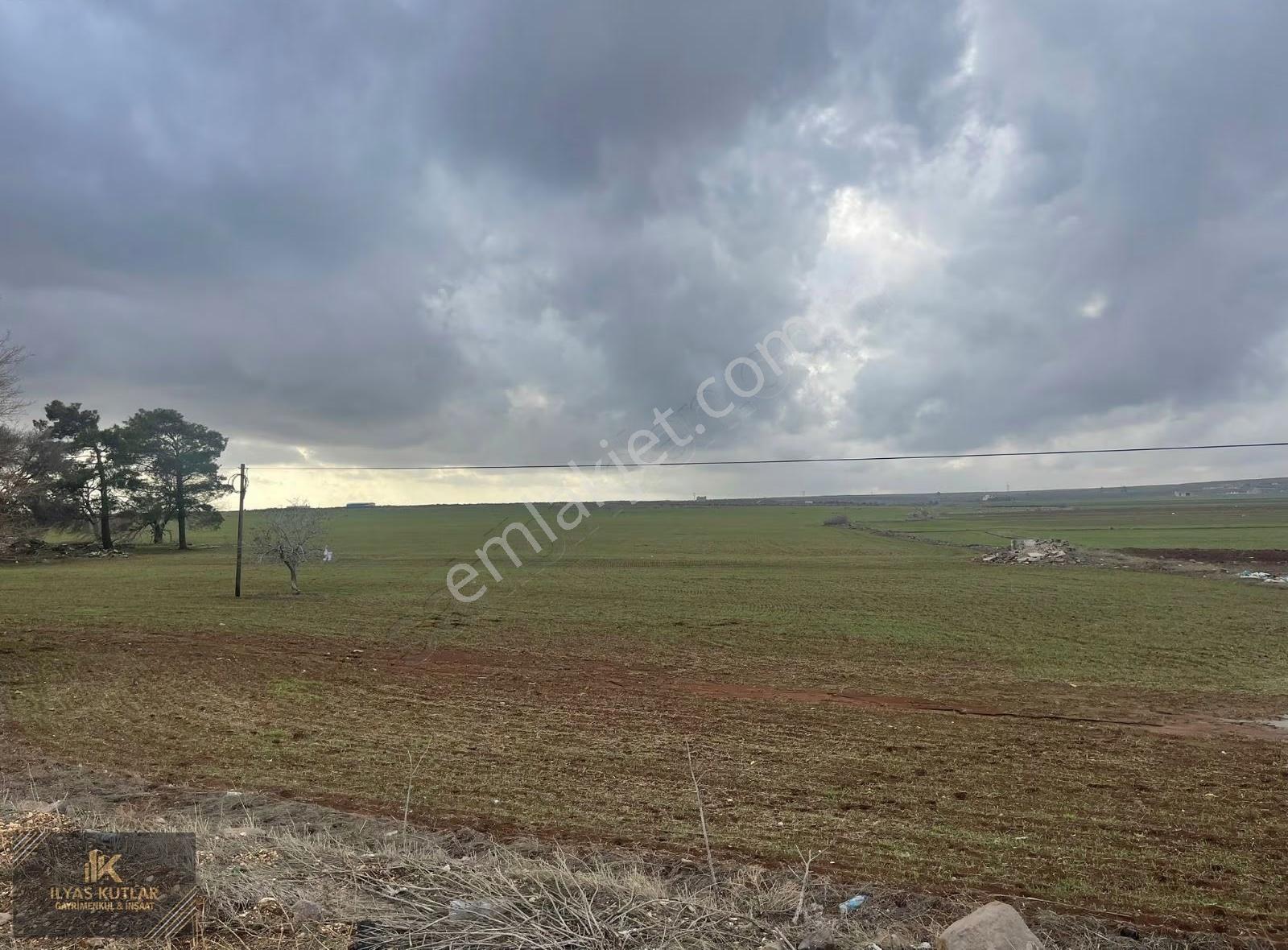 Kilis Yolu Üzeri 520m Yola Cephesi Olan 313 Dönüm Satlık Arazi - Görsel 14