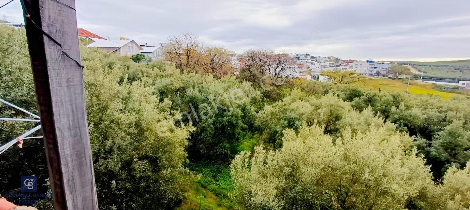 Mudanya Esence'de Deniz Ve Doğa Manzaralı 3 Katlı Müstakil Ev - Görsel 18