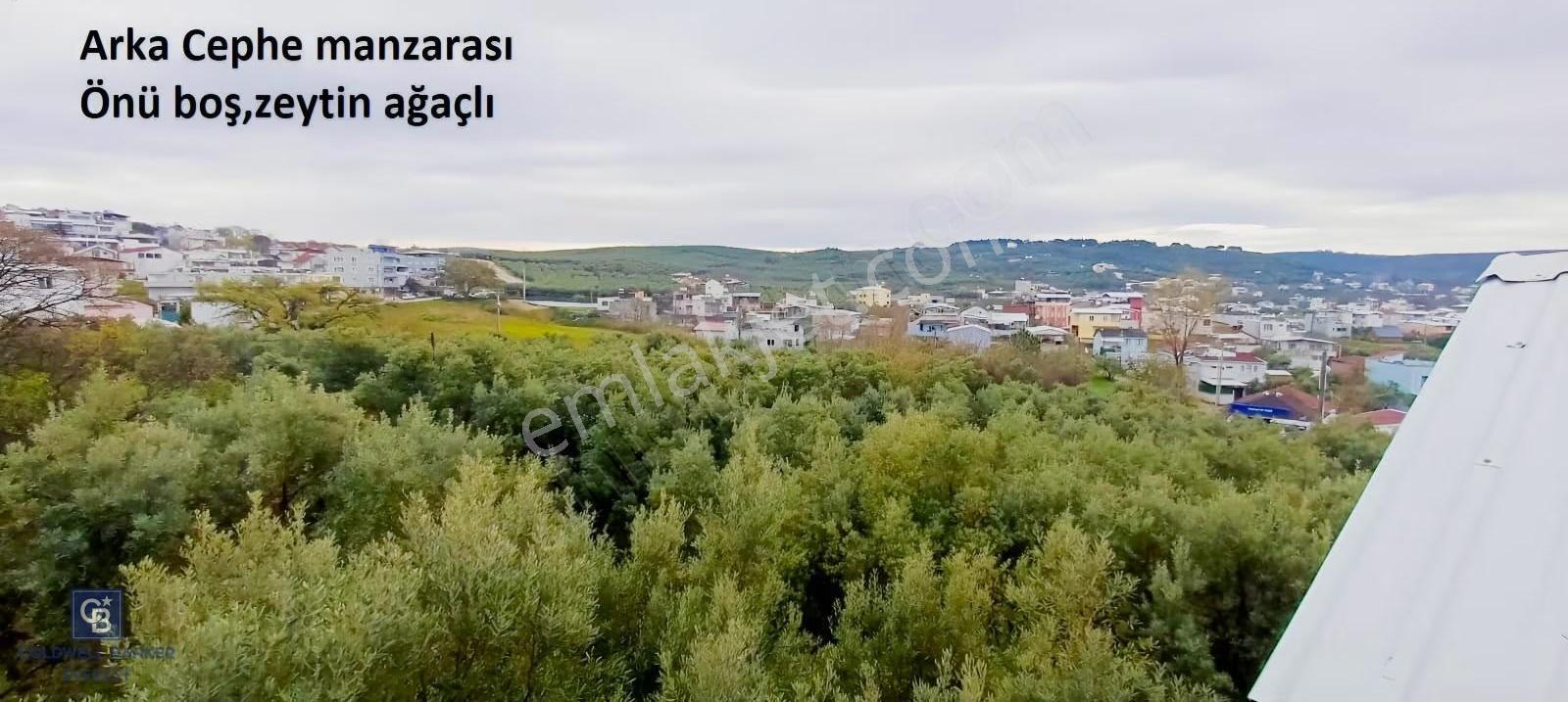 Mudanya Esence'de Deniz Ve Doğa Manzaralı 3 Katlı Müstakil Ev - Görsel 23