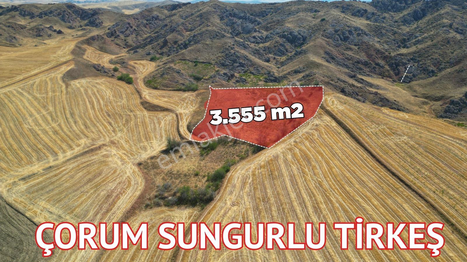 Çorum Sungurlu Tirkeş Köyü 3.555 Bağ Nitelikli - Görsel 10