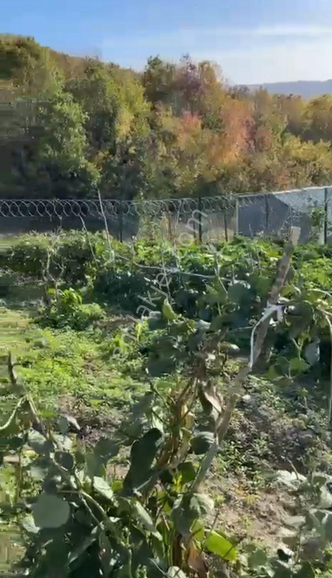 Rise Emlâk Tan Satılık 300 M2 Arsa - Görsel 2