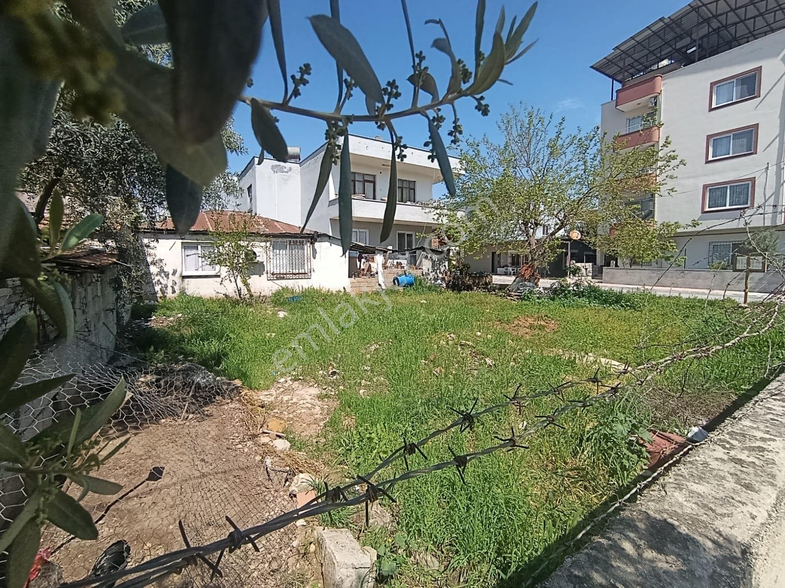 Yenişehir Kuzeykentte Okul Yanı Köşe Parsel Satılık Arsa - Görsel 6