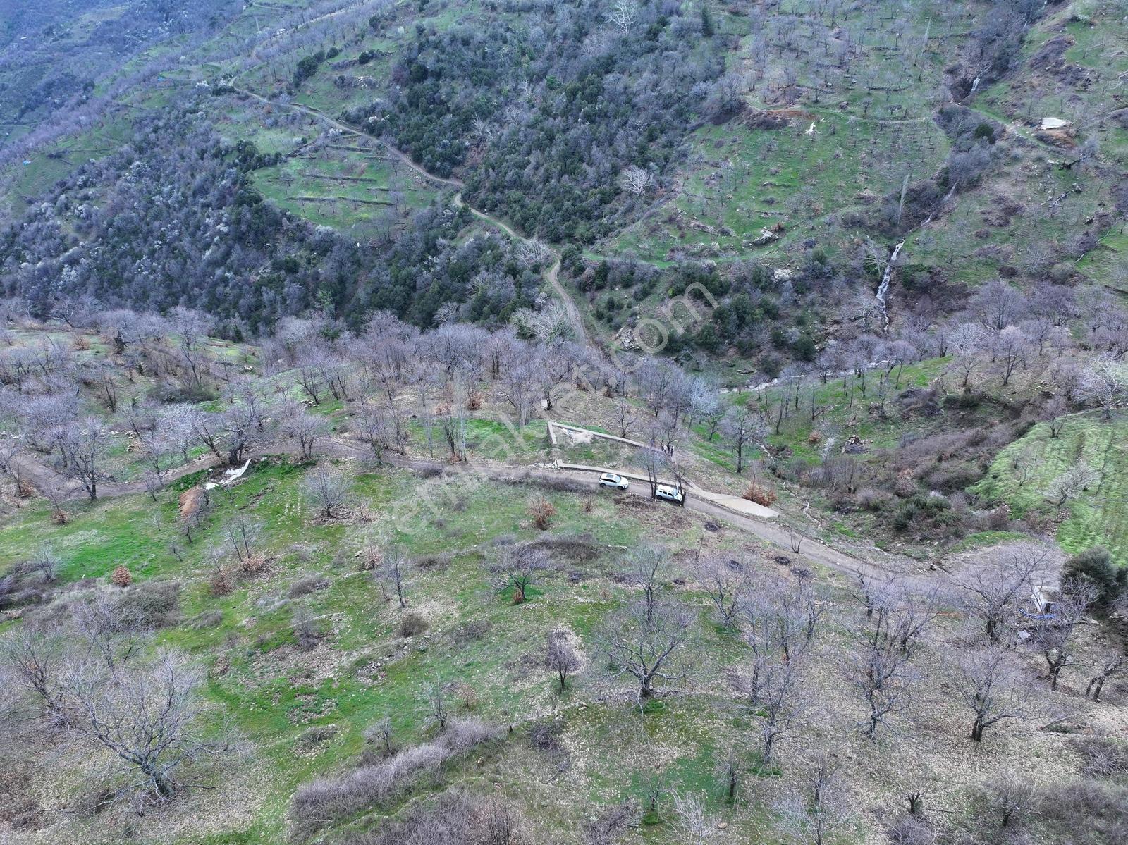 Yaylapınarda Eşsiz Manzaralı Hazır Bahçe - Görsel 7
