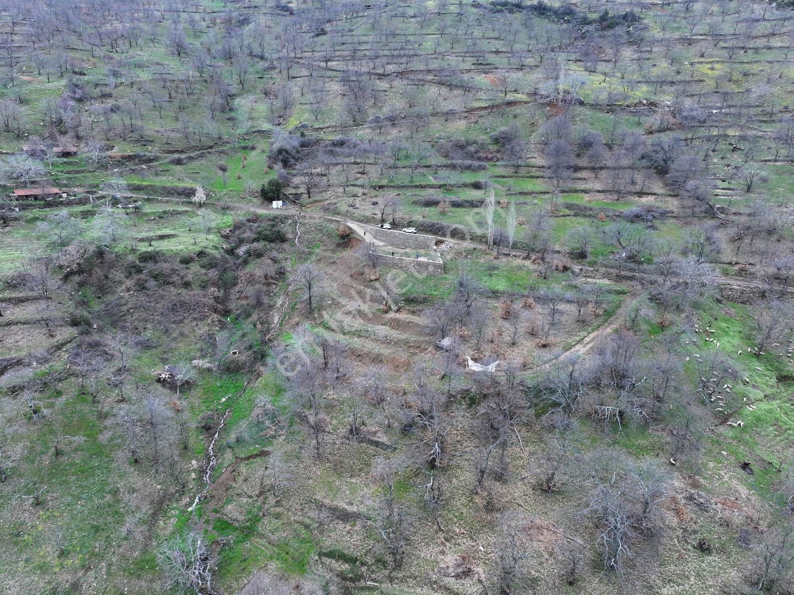 Yaylapınarda Eşsiz Manzaralı Hazır Bahçe - Görsel 8