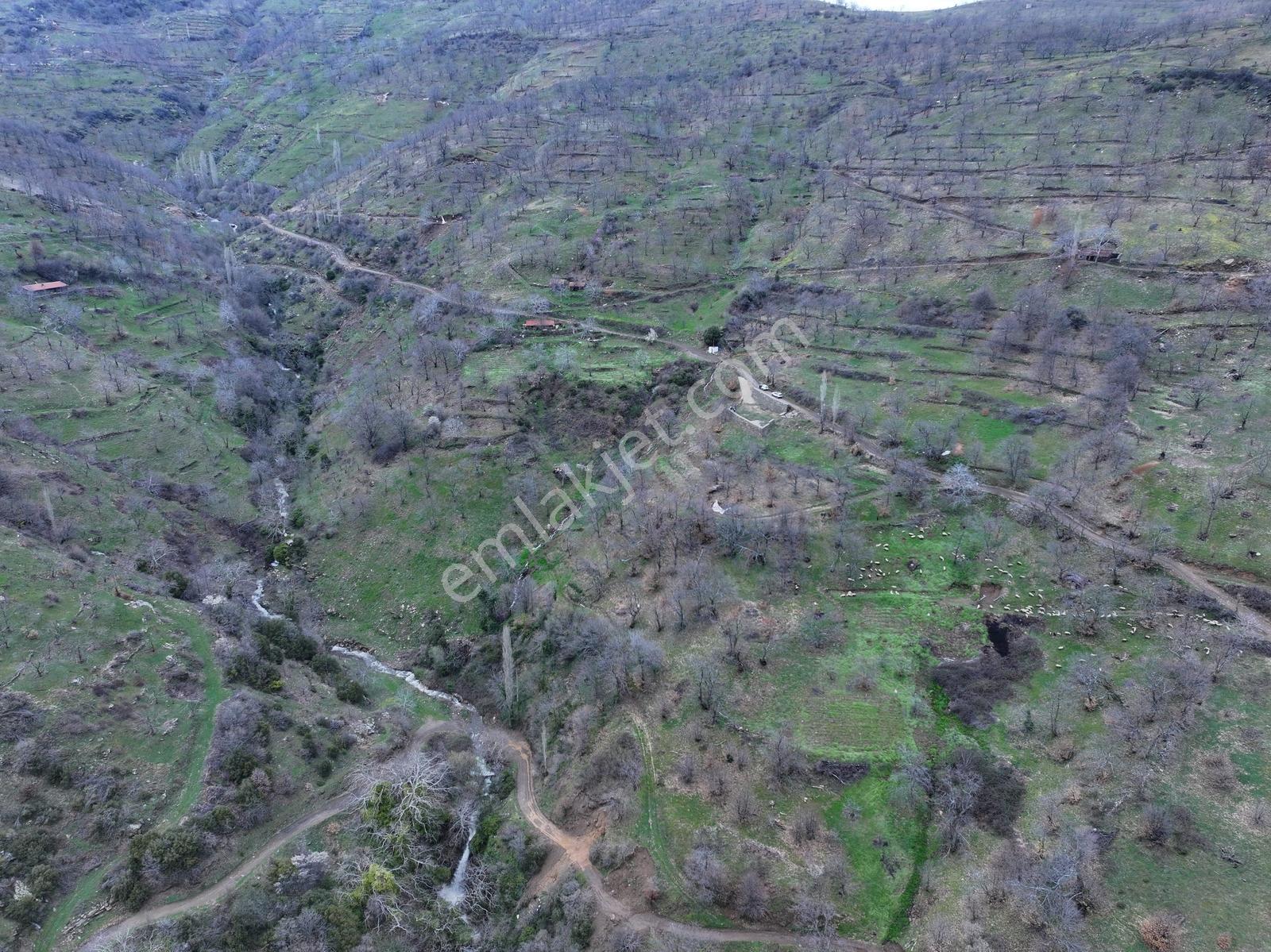 Yaylapınarda Eşsiz Manzaralı Hazır Bahçe - Görsel 3