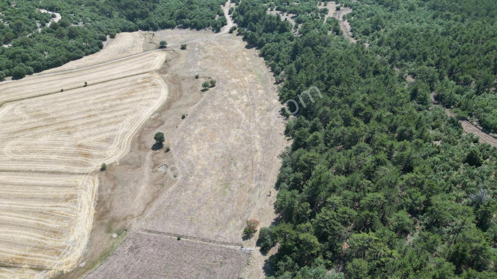Eskişehir Seyitgazi Şükranlı'da Kadastro Yolu Olan 9.420m2 Tarla - Görsel 8