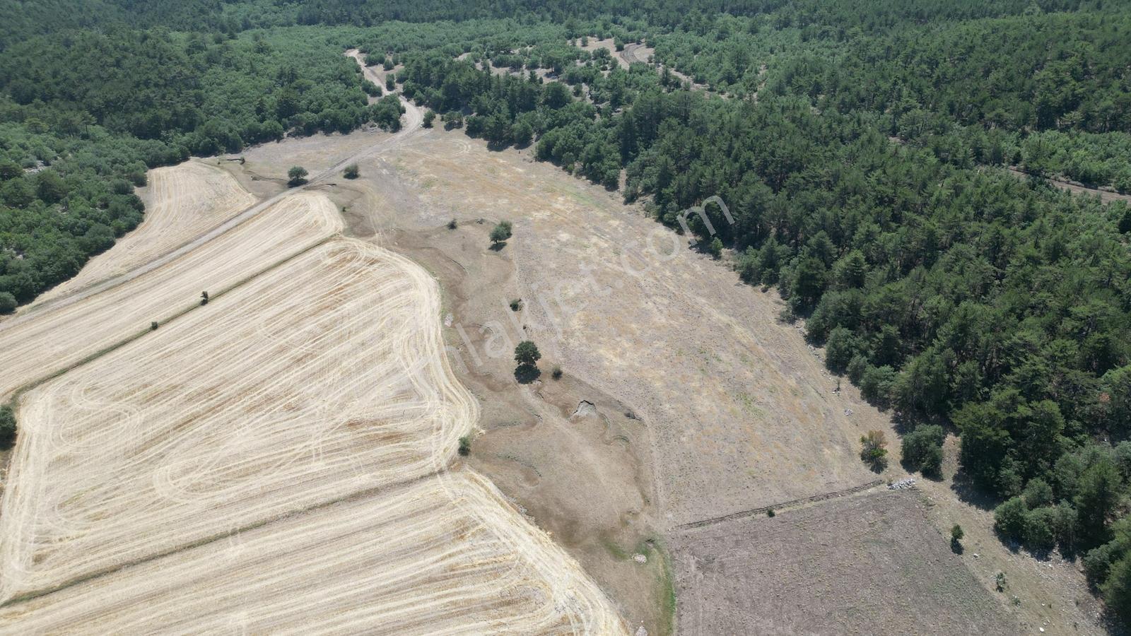 Eskişehir Seyitgazi Şükranlı'da Kadastro Yolu Olan 9.420m2 Tarla - Görsel 9