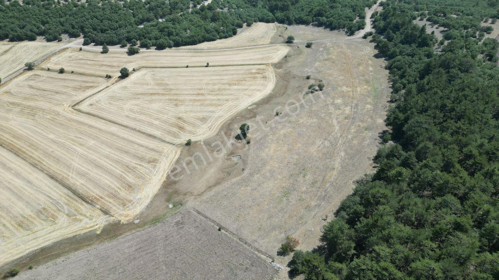 Eskişehir Seyitgazi Şükranlı'da Kadastro Yolu Olan 9.420m2 Tarla - Görsel 7