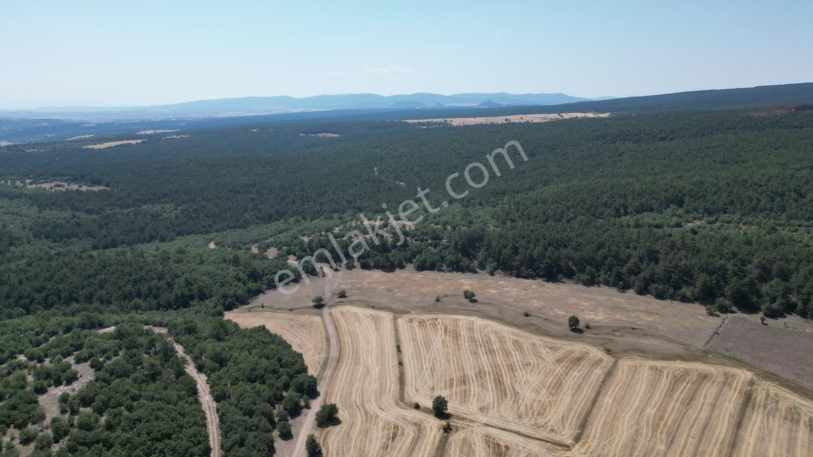 Eskişehir Seyitgazi Şükranlı'da Kadastro Yolu Olan 9.420m2 Tarla - Görsel 13