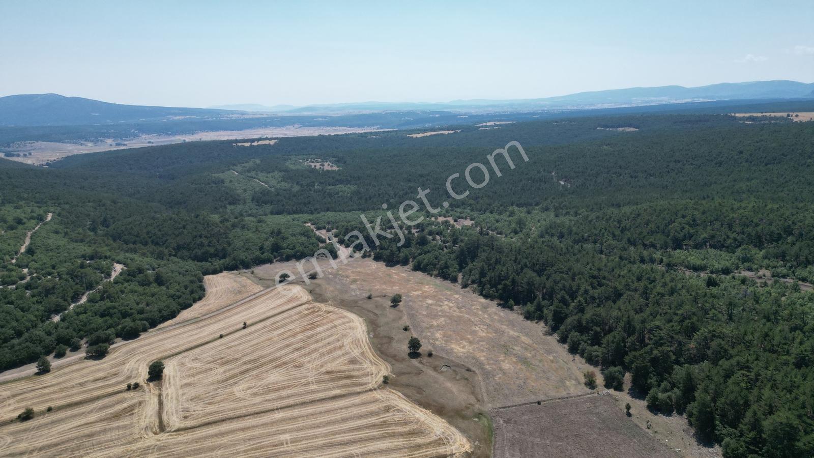 Eskişehir Seyitgazi Şükranlı'da Kadastro Yolu Olan 9.420m2 Tarla - Görsel 17
