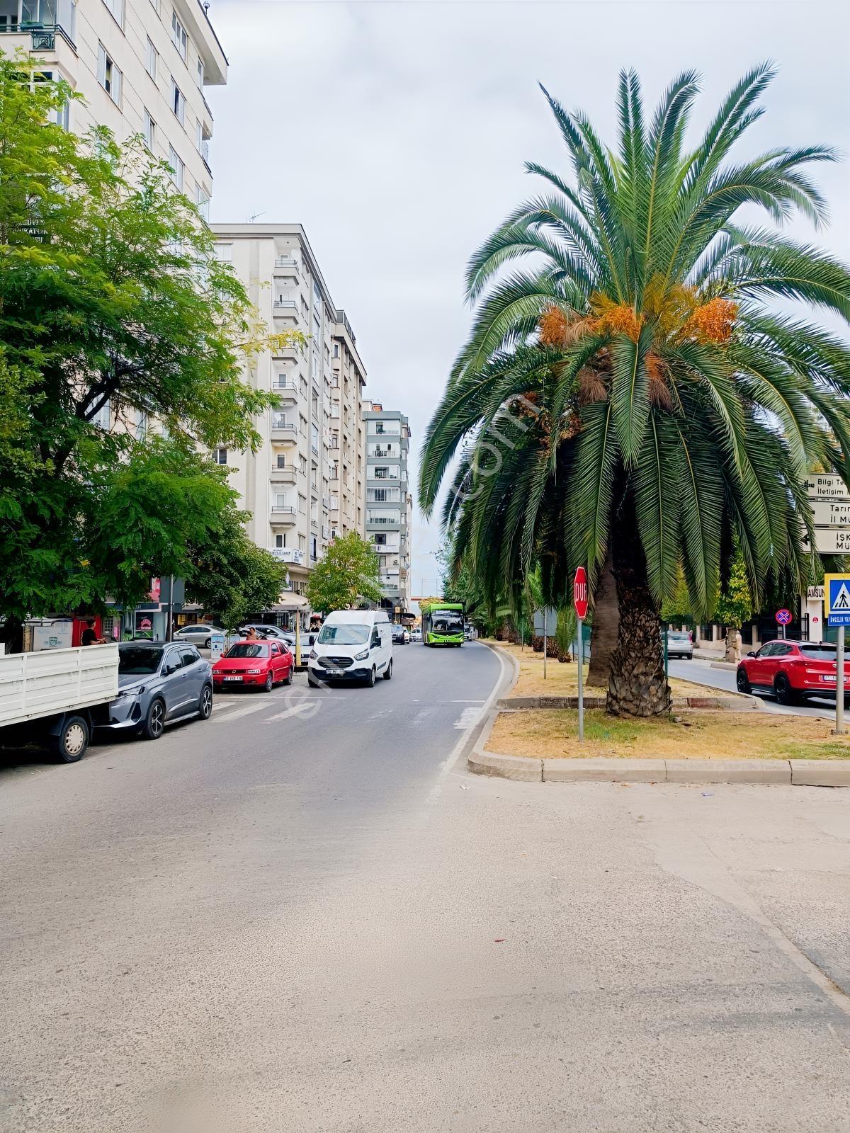 Saadet Caddesi Adalet Sarayına Komşu Kiracılı Satılık Dükkan - Görsel 19