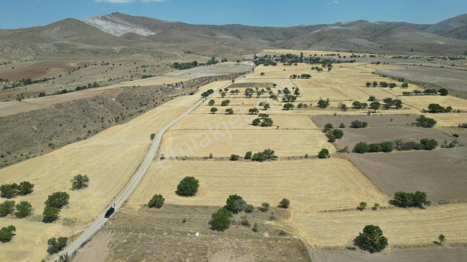 Eskişehir Sivrihisar Sadıkbağın' Da Köye 700 Metre Mesafede Bağ - Görsel 15