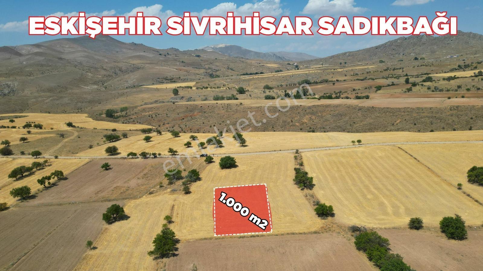 Eskişehir Sivrihisar Sadıkbağın' Da Köye 700 Metre Mesafede Bağ - Görsel 9