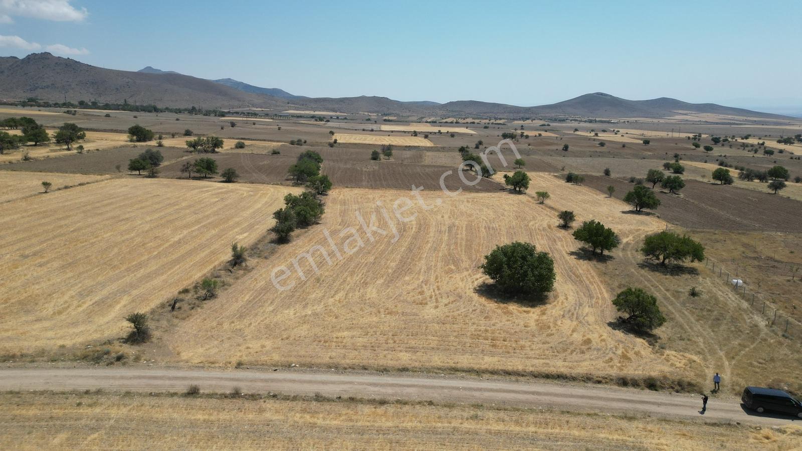 Eskişehir Sivrihisar Sadıkbağın' Da Köye 700 Metre Mesafede Bağ - Görsel 4