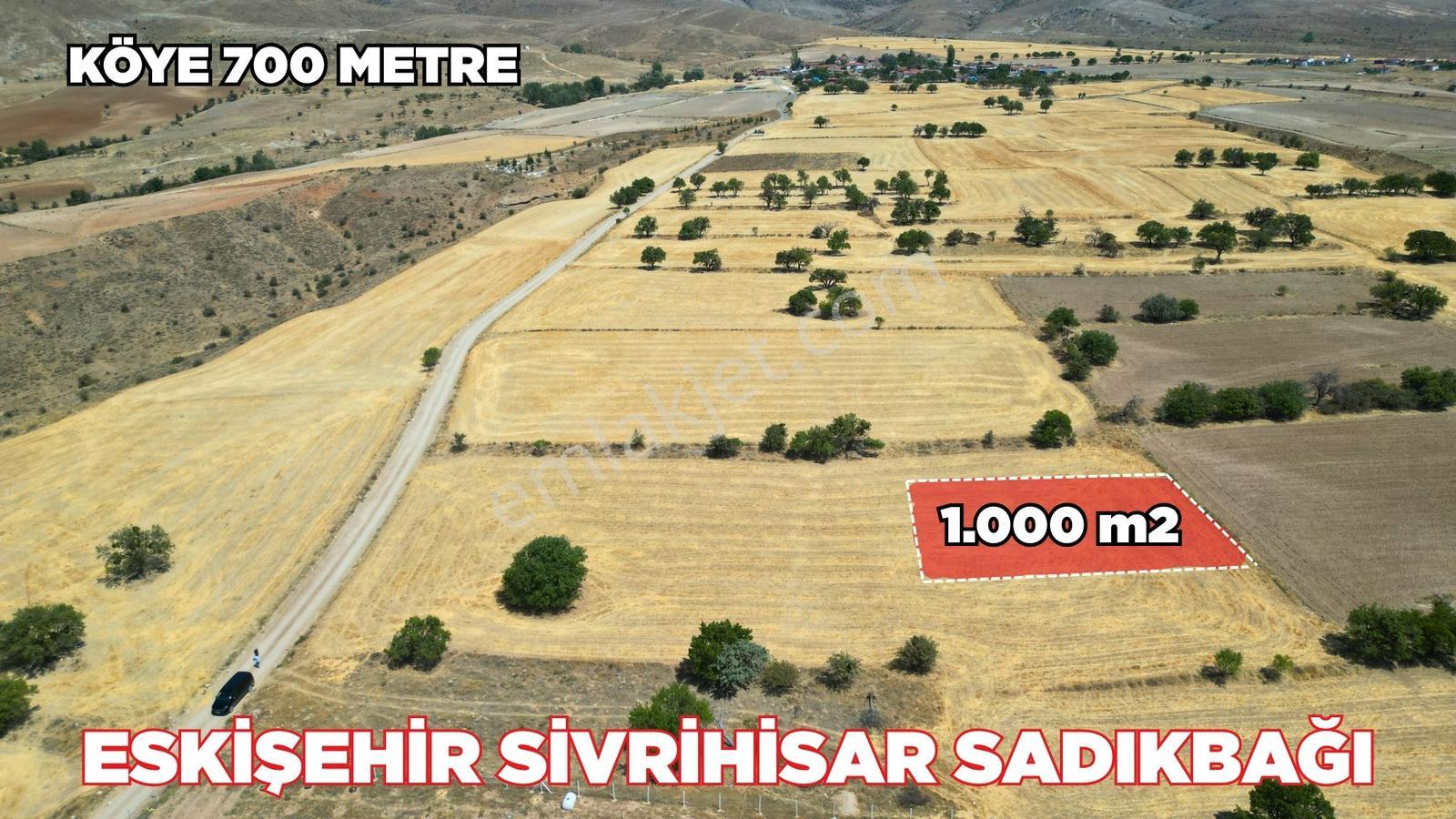 Eskişehir Sivrihisar Sadıkbağın' Da Köye 700 Metre Mesafede Bağ - Görsel 16