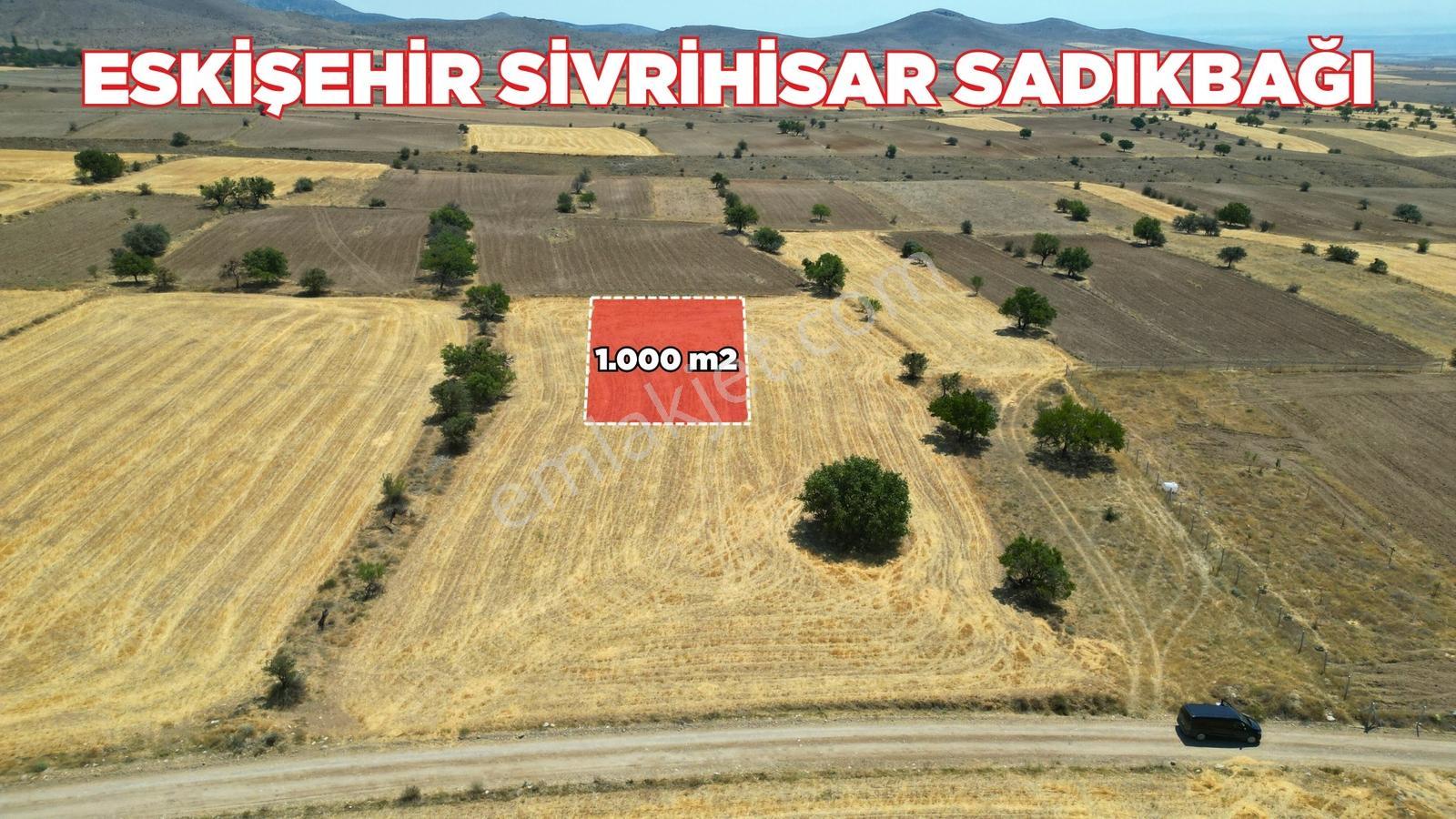 Eskişehir Sivrihisar Sadıkbağın' Da Köye 700 Metre Mesafede Bağ - Görsel 17