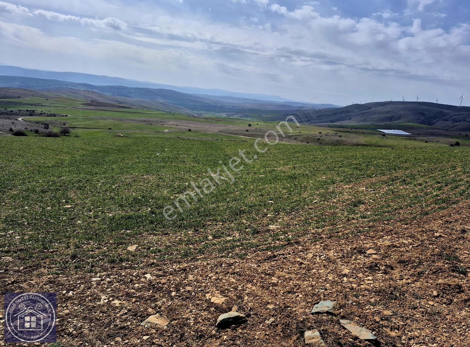 Özgü'den Eskişehir'de Güneş Enerji Santrali Yapımına Uygun Tarla - Görsel 5