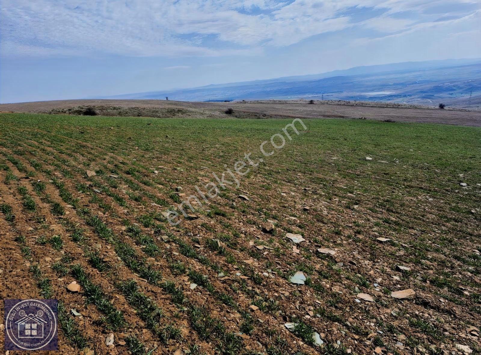 Özgü'den Eskişehir'de Güneş Enerji Santrali Yapımına Uygun Tarla - Görsel 7