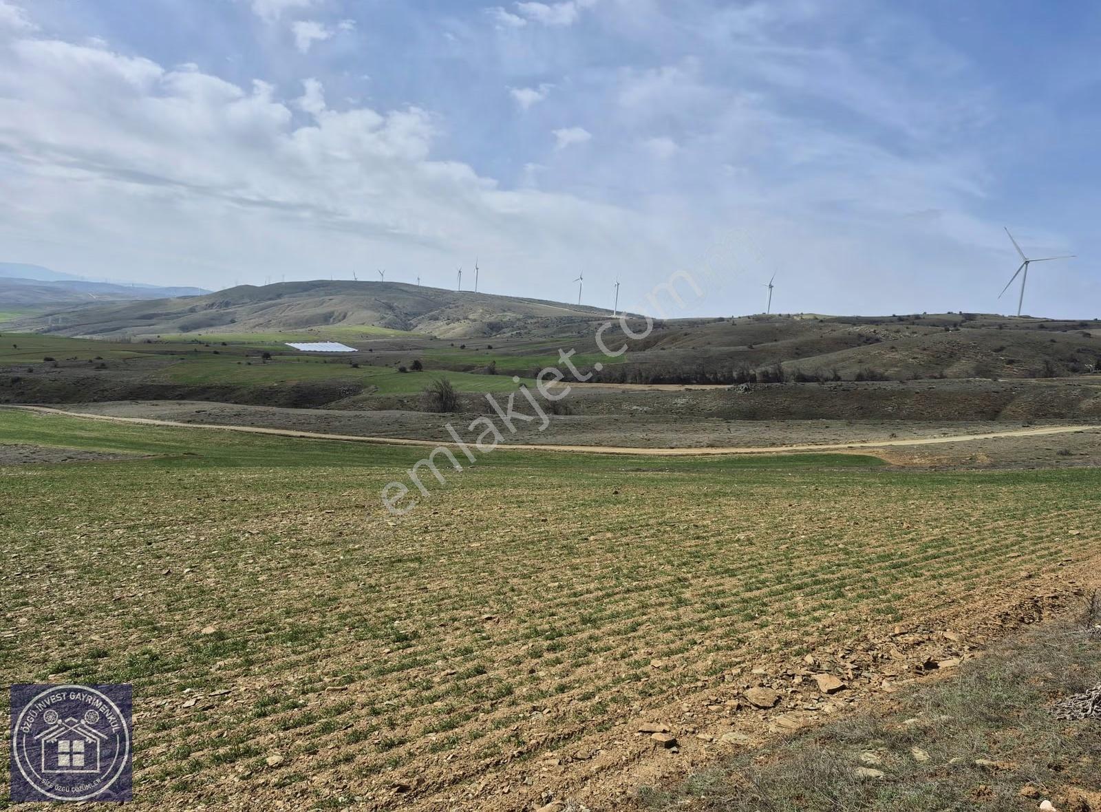 Özgü'den Eskişehir'de Güneş Enerji Santrali Yapımına Uygun Tarla - Görsel 6