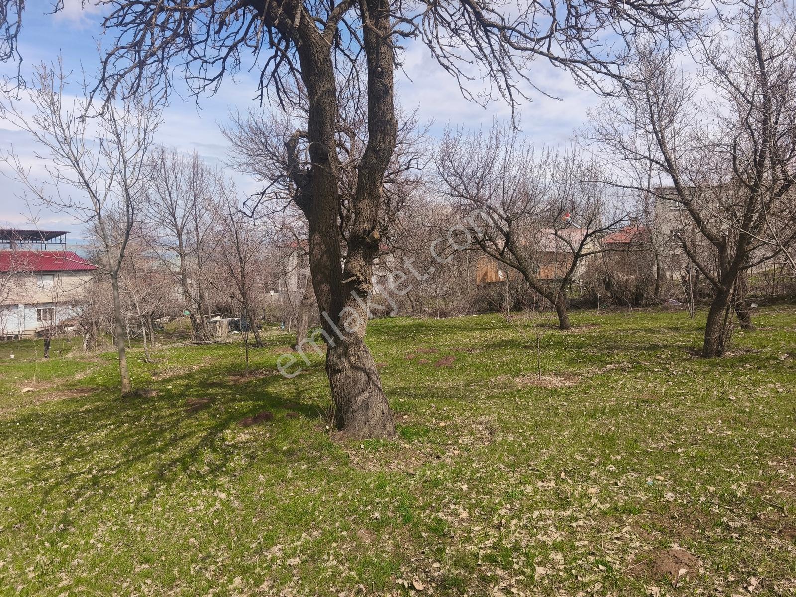 Gevaş Merkez Orta Mahallede Satılık Arsa - Görsel 17