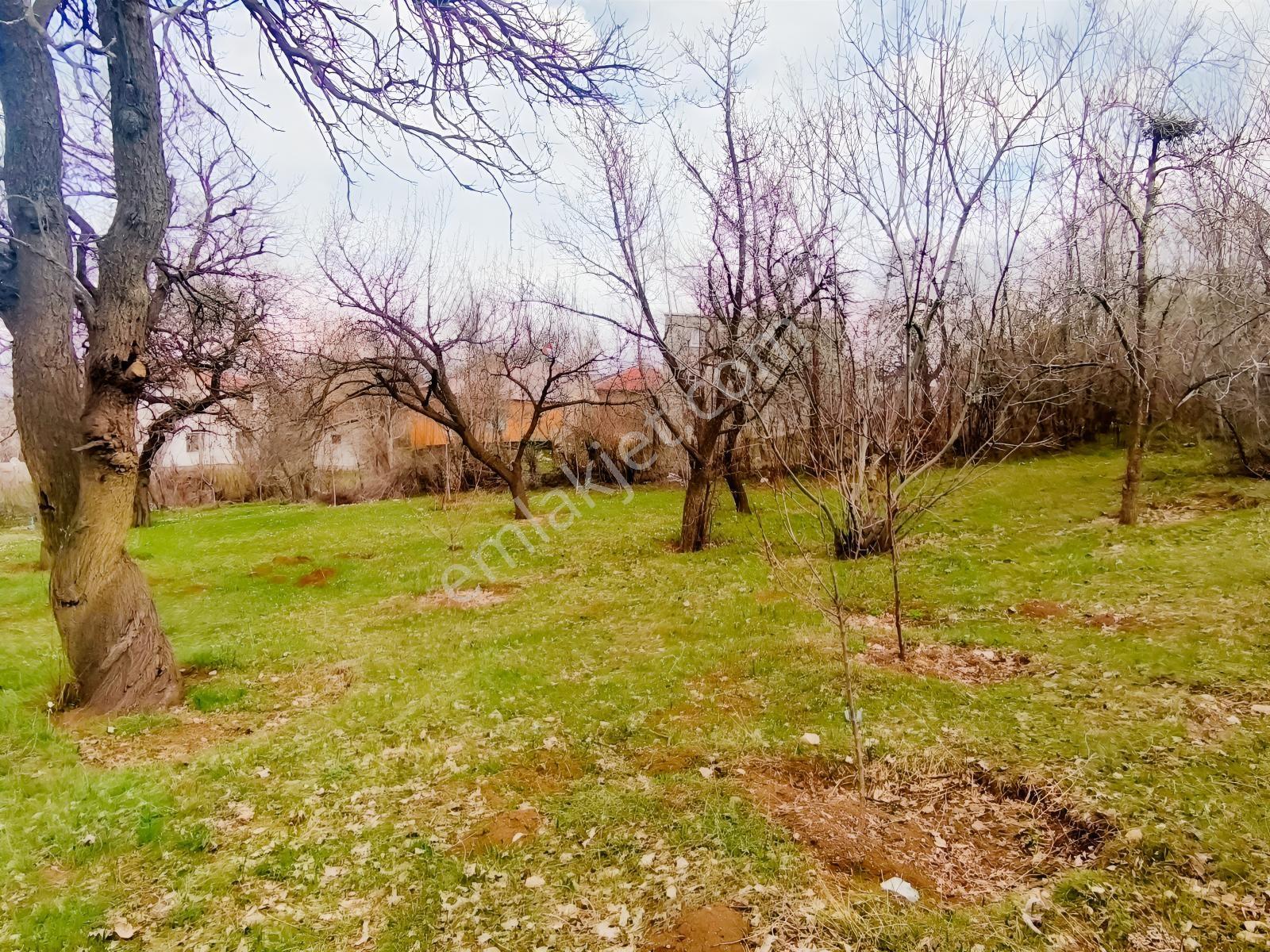 Gevaş Merkez Orta Mahallede Satılık Arsa - Görsel 8