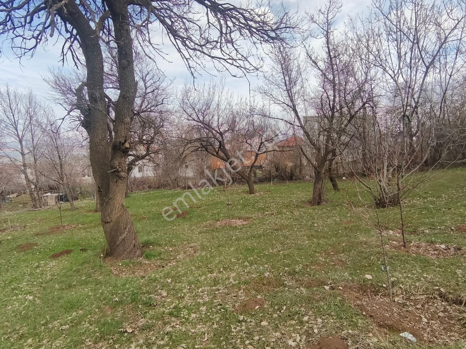 Gevaş Merkez Orta Mahallede Satılık Arsa - Görsel 22